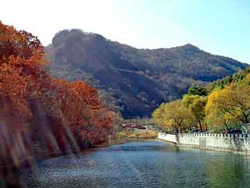 新澳天天开奖资料大全旅游团，柴油机型号